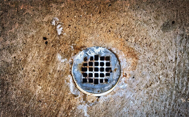 https://guildfordblockeddrains.com.au/uploads/2025/07/blocked-shower-drains-20432.jpg