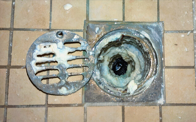https://guildfordblockeddrains.com.au/uploads/2025/07/blocked-shower-drains-33151.jpg