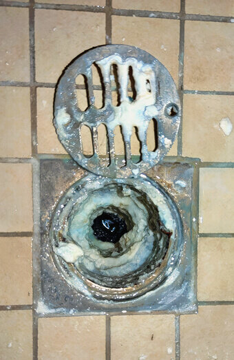 https://guildfordblockeddrains.com.au/uploads/2025/07/blocked-shower-drains-86331.jpg