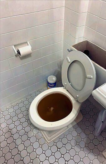 https://guildfordblockeddrains.com.au/uploads/2025/07/blocked-toilet-42230.jpg