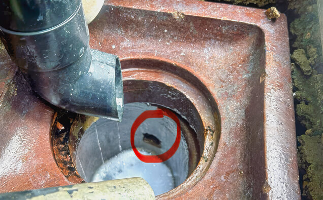 https://guildfordblockeddrains.com.au/uploads/2025/07/hero-blocked-sewers-17074.jpg