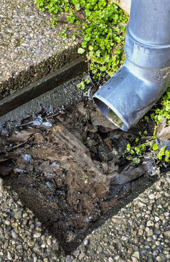https://guildfordblockeddrains.com.au/uploads/2025/07/hero-blocked-sewers-20143.jpg